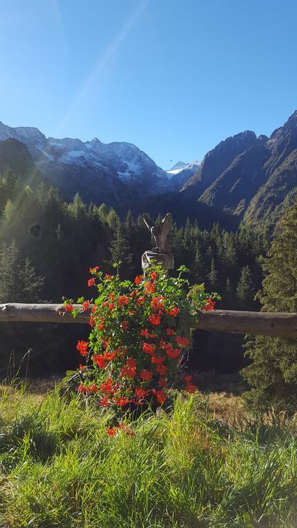 Hotel La Roccia Passo del Tonale Dış mekan fotoğraf