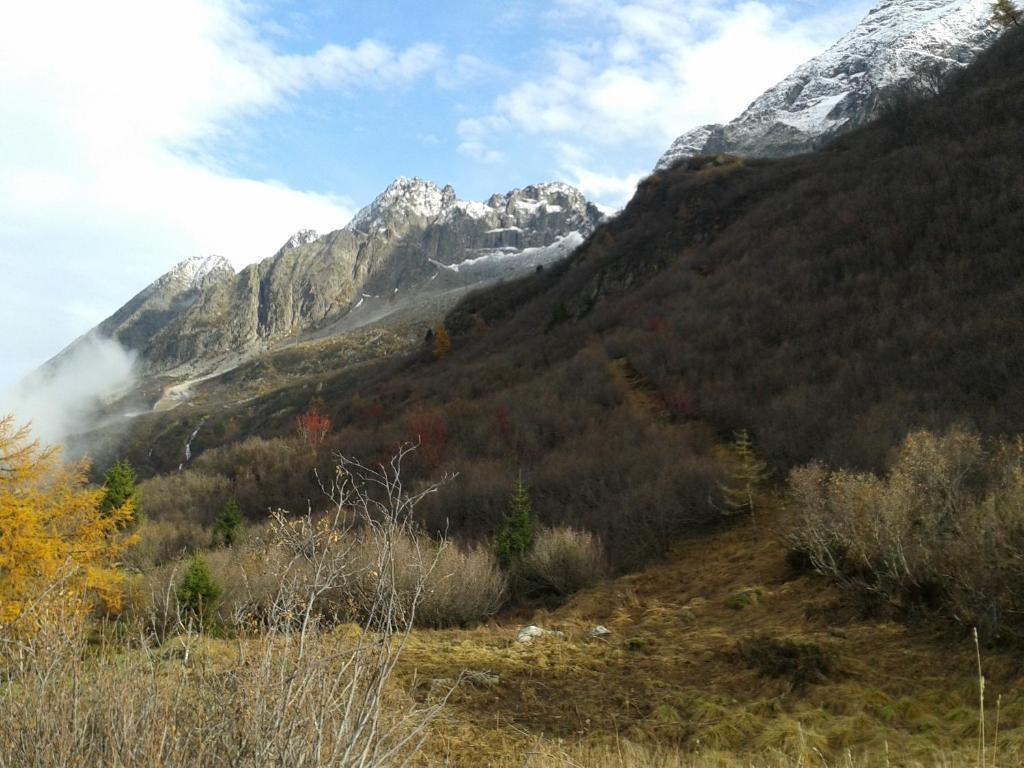 Hotel La Roccia Passo del Tonale Dış mekan fotoğraf